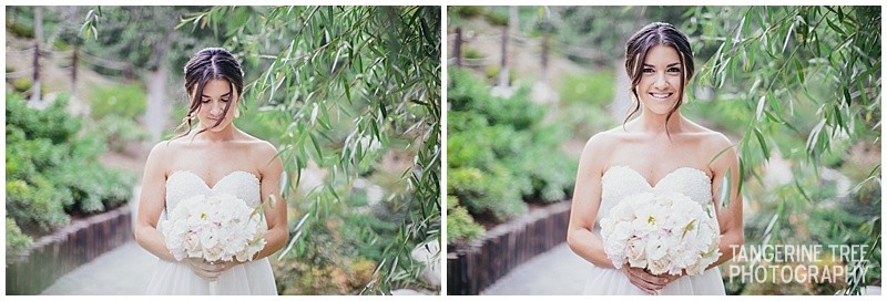 Japanese Friendship Garden Wedding, Balboa Park, Tangerine Tree Photography